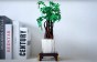 MOULD KING 10063 KWIATEK MONEY TREE | 905 EL.