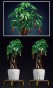 MOULD KING 10063 KWIATEK MONEY TREE | 905 EL.