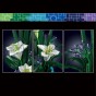 MOULD KING 10023 KWIATEK FAIRY LILY | 1513 EL.